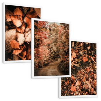 Zestaw obrazy w ramie, plakaty - liście,jesień,drzewa - rama biała