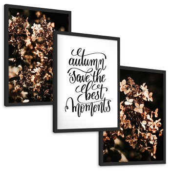 Zestaw obrazy w ramie, plakaty - kwiaty, jesień, dekoracja - rama czarna