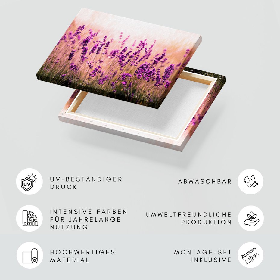 Obraz na płótnie - lawenda, kwiaty, pole