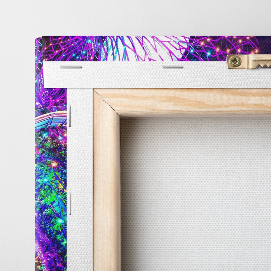 Obraz na płótnie - Singapur, ogrody, noc