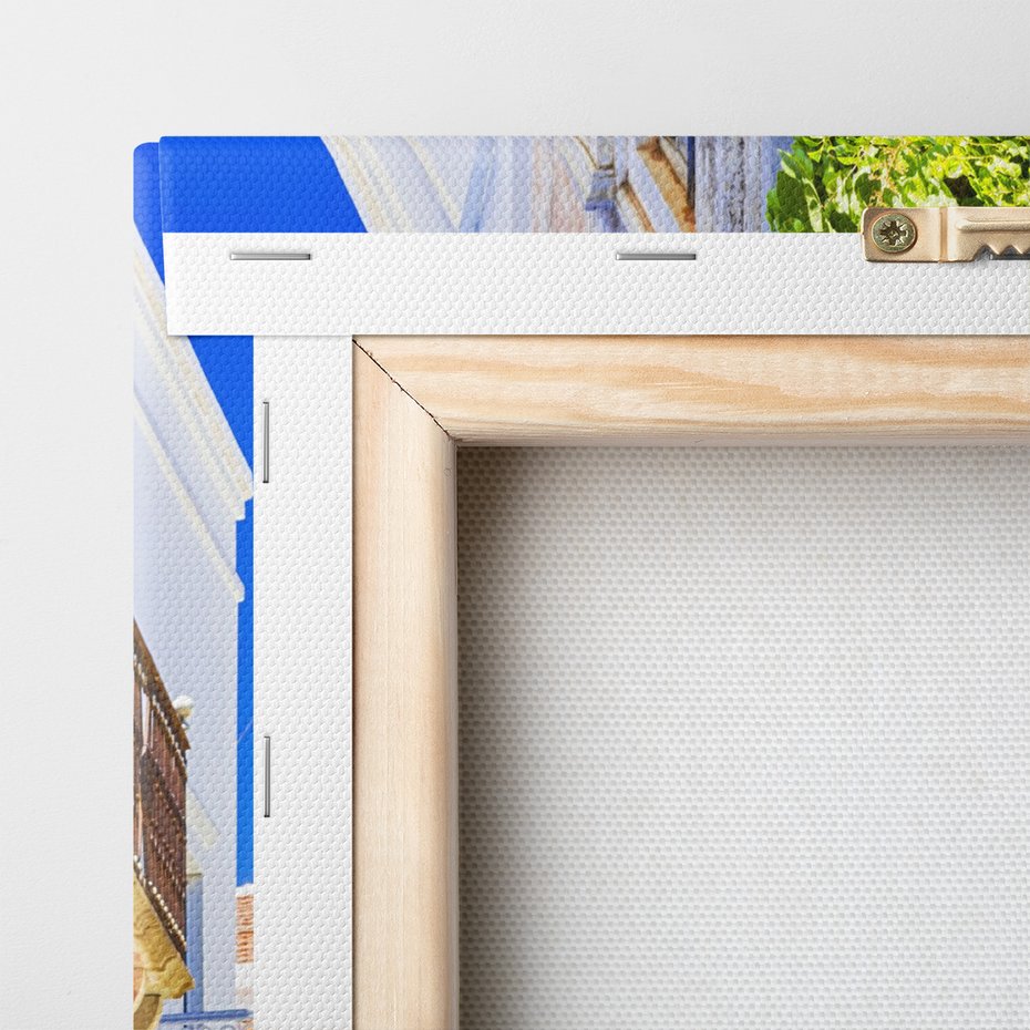 Obraz na płótnie - uliczka, miasto, roślinność