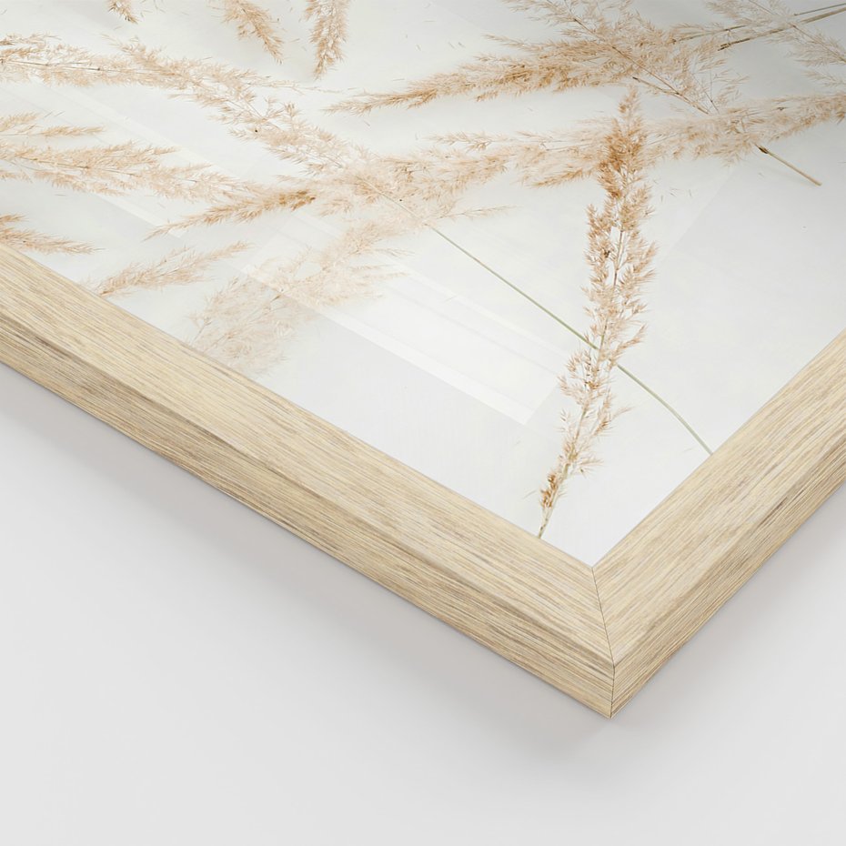 Zestaw obrazy w ramie, plakaty - roślina, suchy, kwiatostan - rama drewno