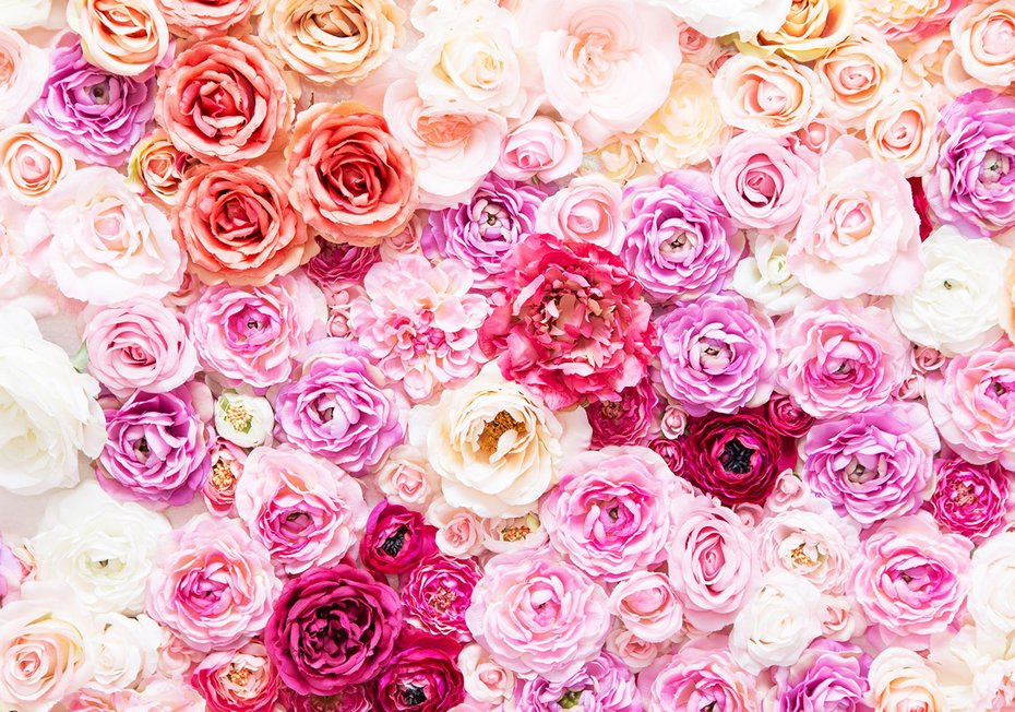 Fototapeta - kwiaty, róże, tło