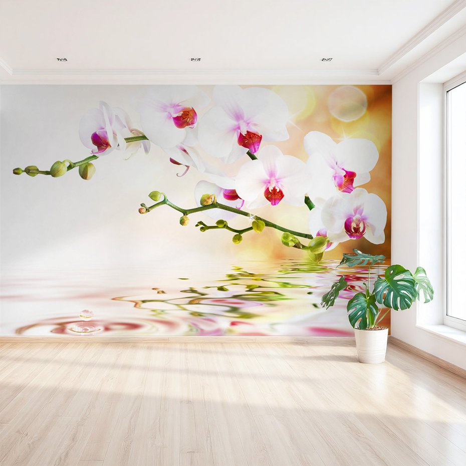 Fototapeta - orchidee, kwiaty, woda