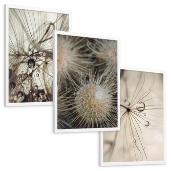 Zestaw obrazy w ramie, plakaty - makro, natura, roślina - rama biała