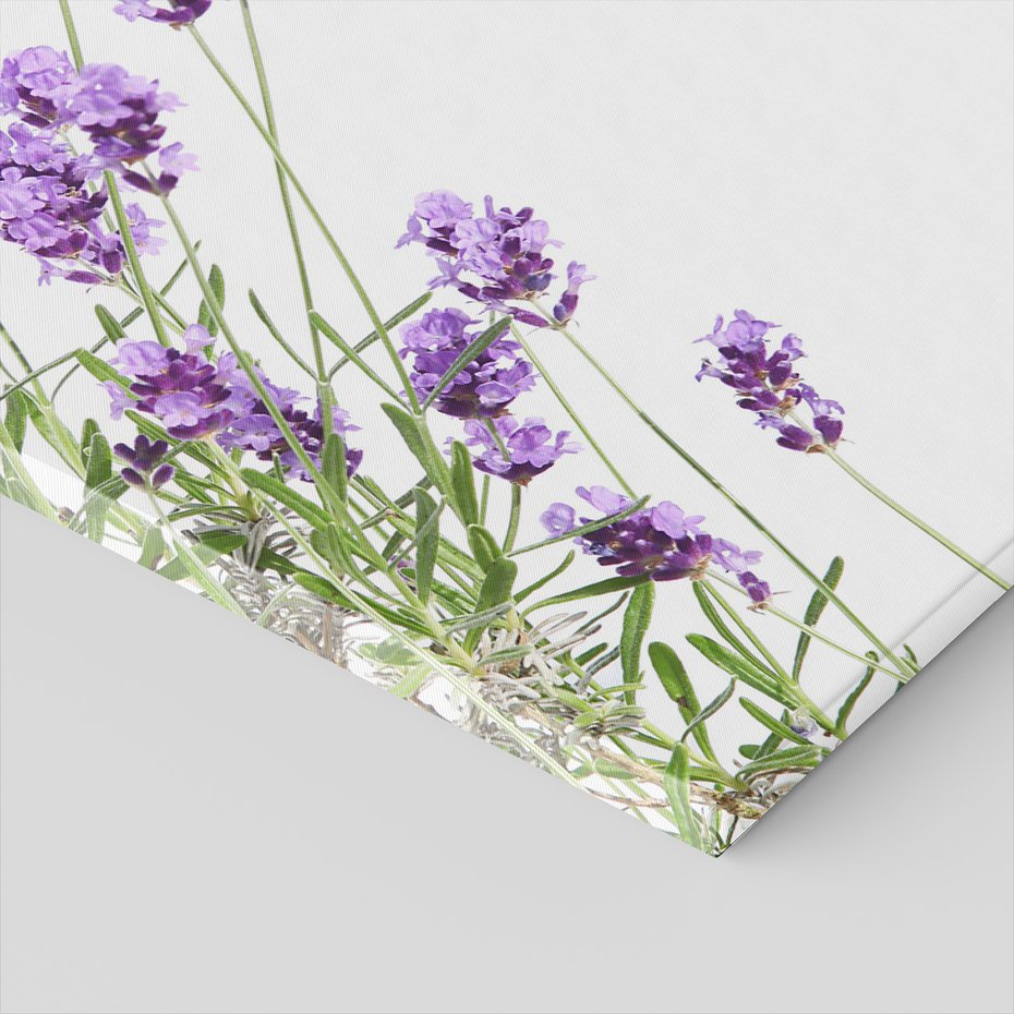 Obraz na płótnie - kwiaty, lawenda, fioletowy