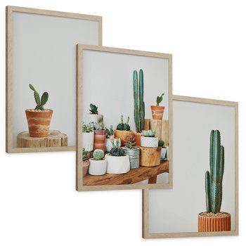 Zestaw obrazy w ramie, plakaty - kaktusy, sukulenty, rośliny - rama drewno