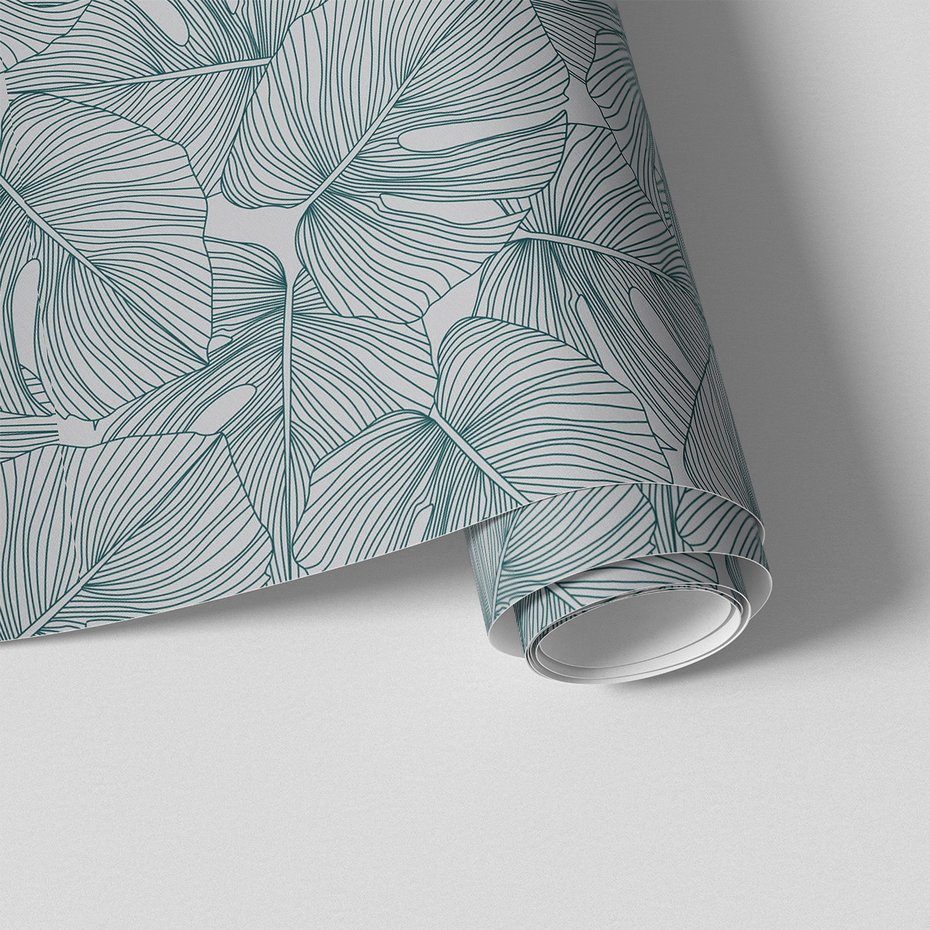 Tapeta - liście, monstera, natura