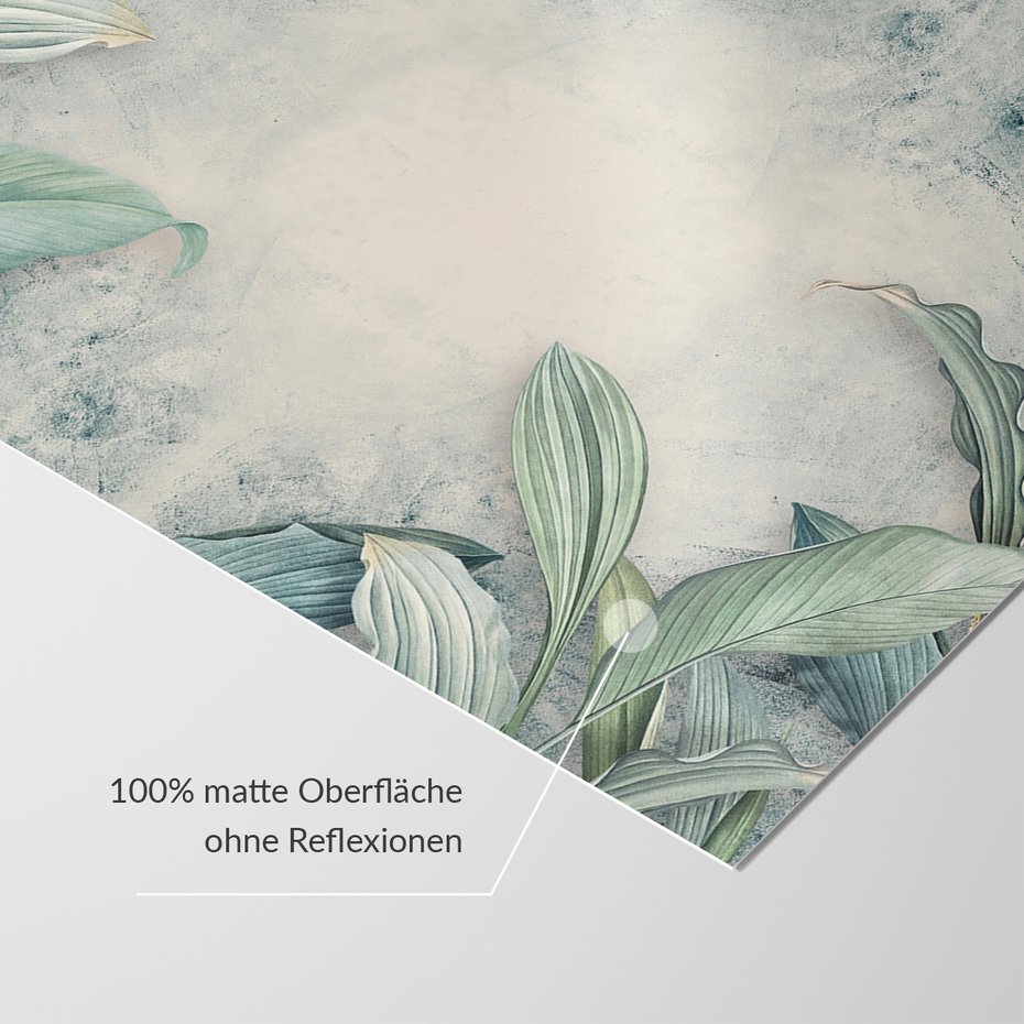 Fototapeta - tropikalne, liście, beton