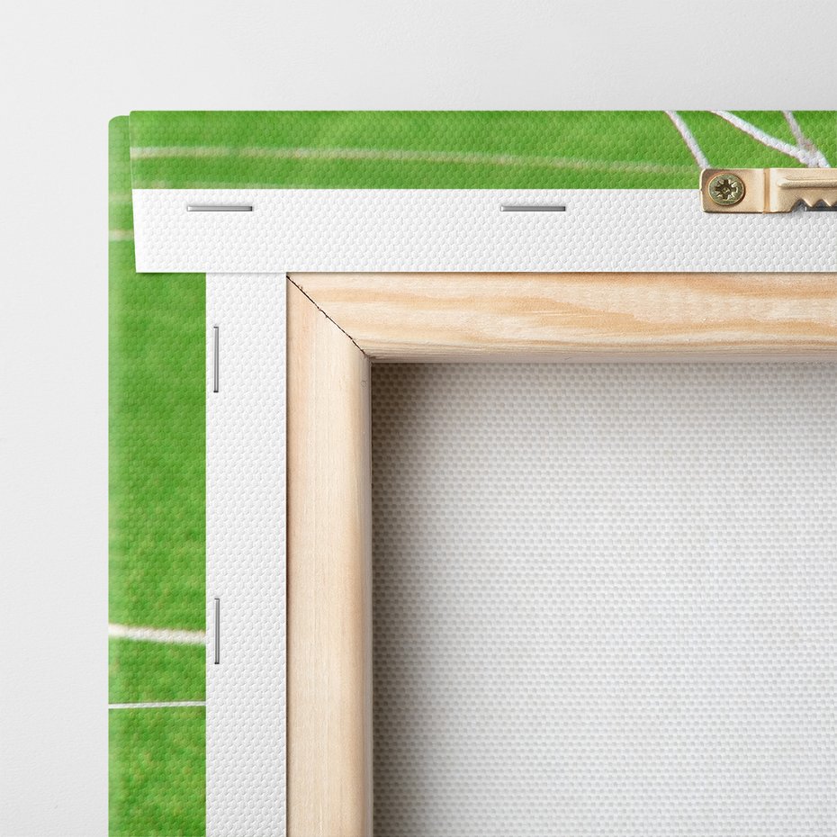 Obraz na płótnie - piłka nożna, bramka, siatka