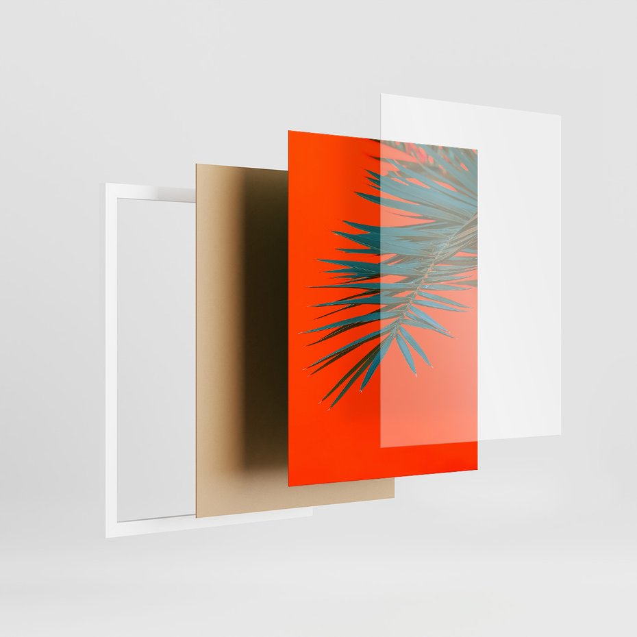 Zestaw obrazy w ramie, plakaty - liście,roślina,tropikalny - rama biała