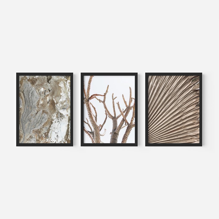 Zestaw obrazy w ramie, plakaty - abstrakcja, roślina, natura - rama czarna