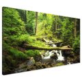 Obraz na płótnie - las, wodospad, potok