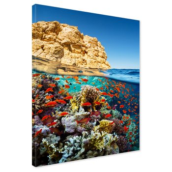 Obraz na płótnie - podwodny, rafa koralowa, ryby