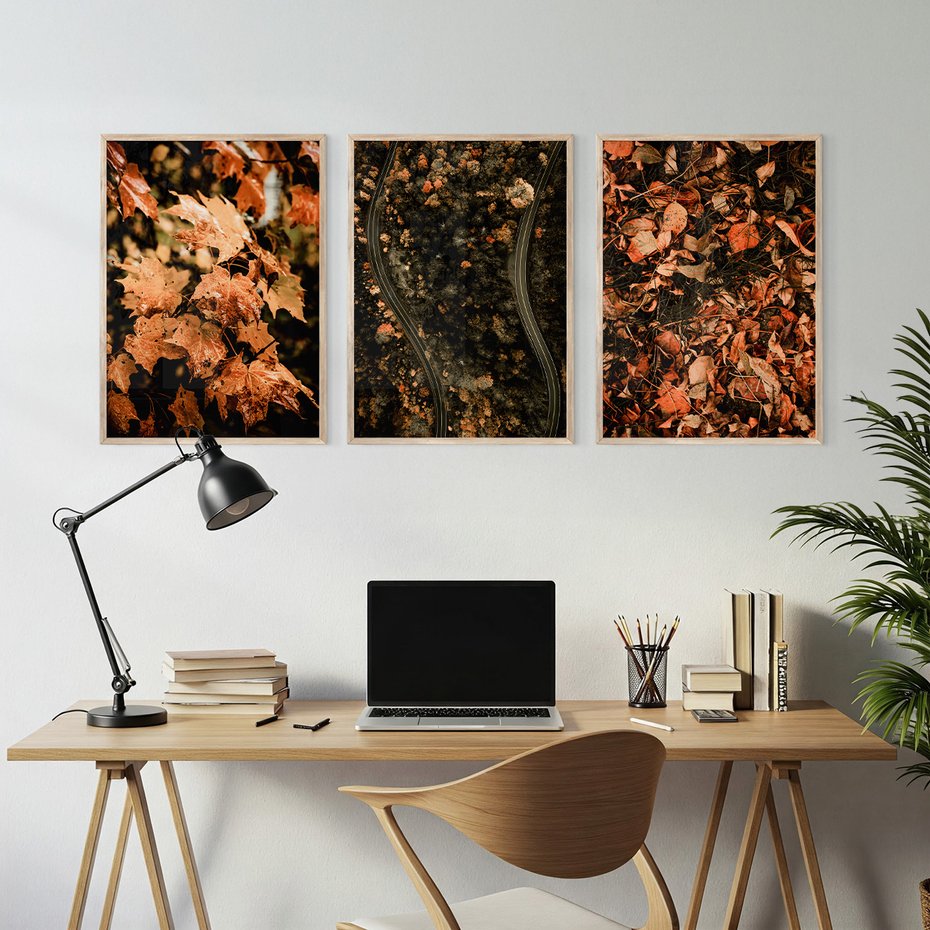 Zestaw obrazy w ramie, plakaty - liście, jesień, droga - rama drewno