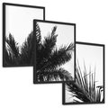 Zestaw obrazy w ramie, plakaty - palmy, liście, tropikalne - rama czarna