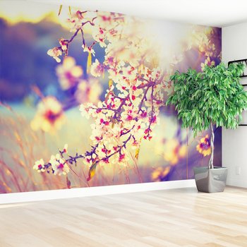 Fototapeta - kwiaty, wiosna, natura