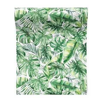 Tapeta - liście, tropiki, natura