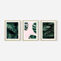 Zestaw obrazy w ramie, plakaty - liście, monstera, rośliny - rama drewno