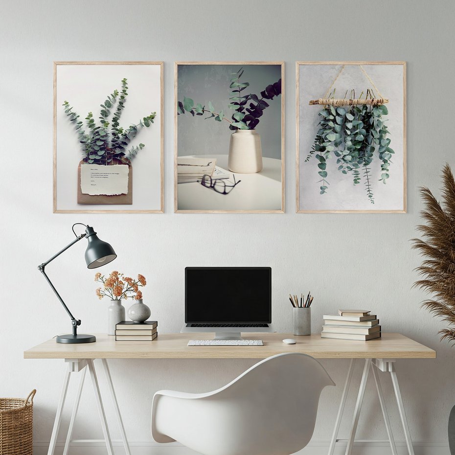 Zestaw obrazy w ramie, plakaty - eukaliptus, liście, gałązki - rama drewno