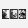 Zestaw obrazy w ramie, plakaty - liście, rośliny, natura - rama czarna