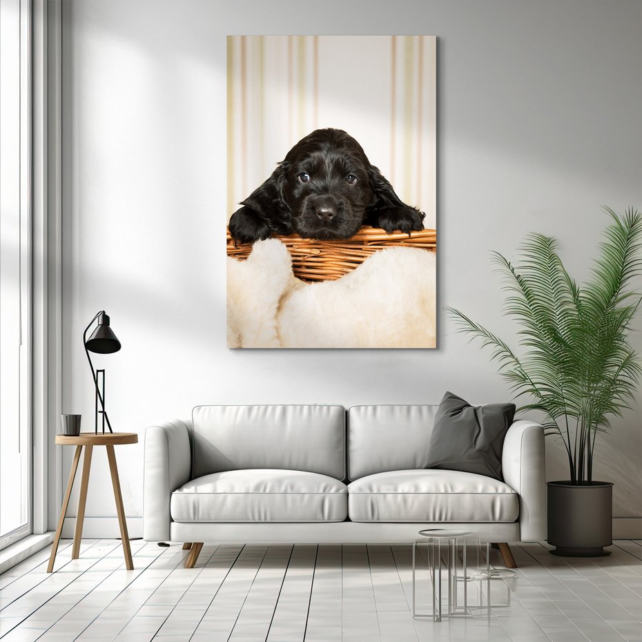 Obraz na płótnie - szczeniak, pies, słodki