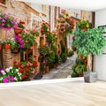 Fototapeta - uliczka, kwiaty, doniczki