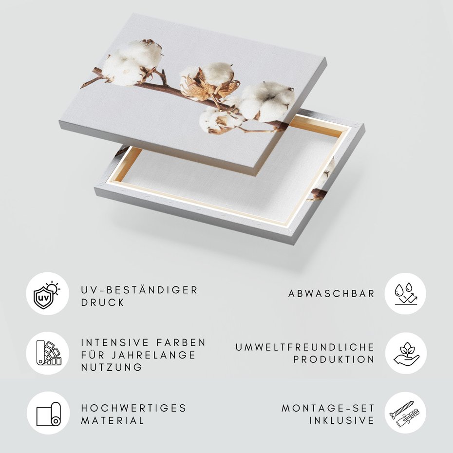 Obraz na płótnie - bawełna, roślina, biel