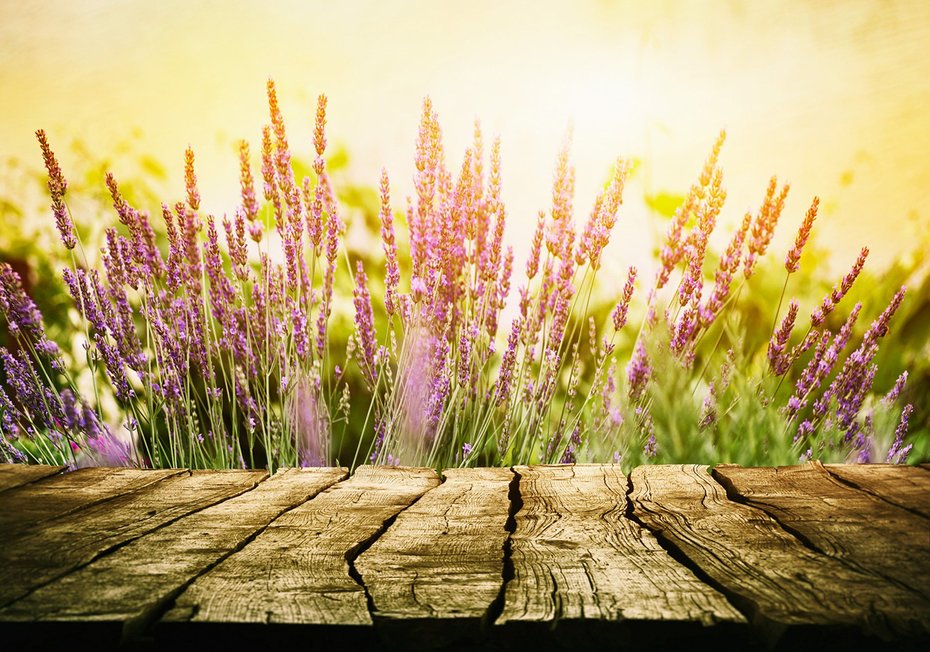 Fototapeta - lawenda, kwiaty, drewno