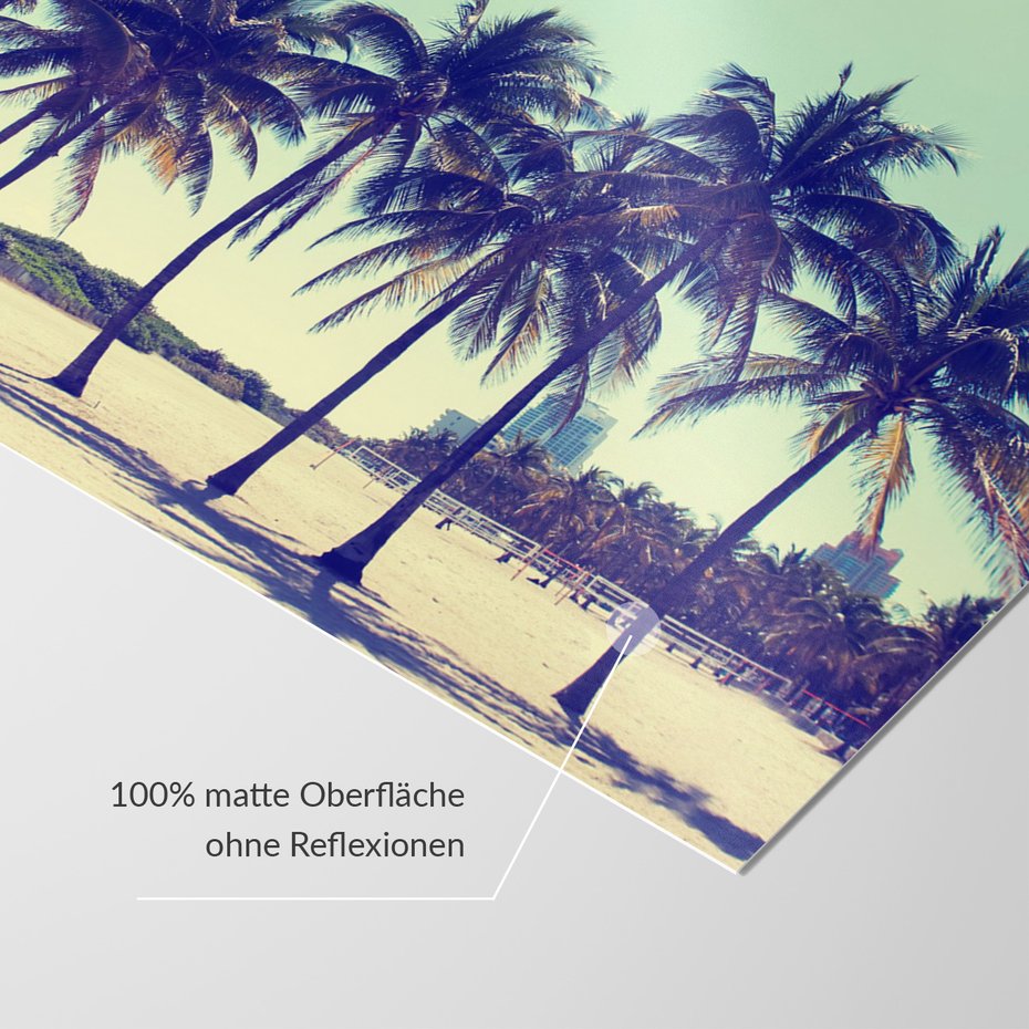 Fototapeta - palmy, plaża, niebo