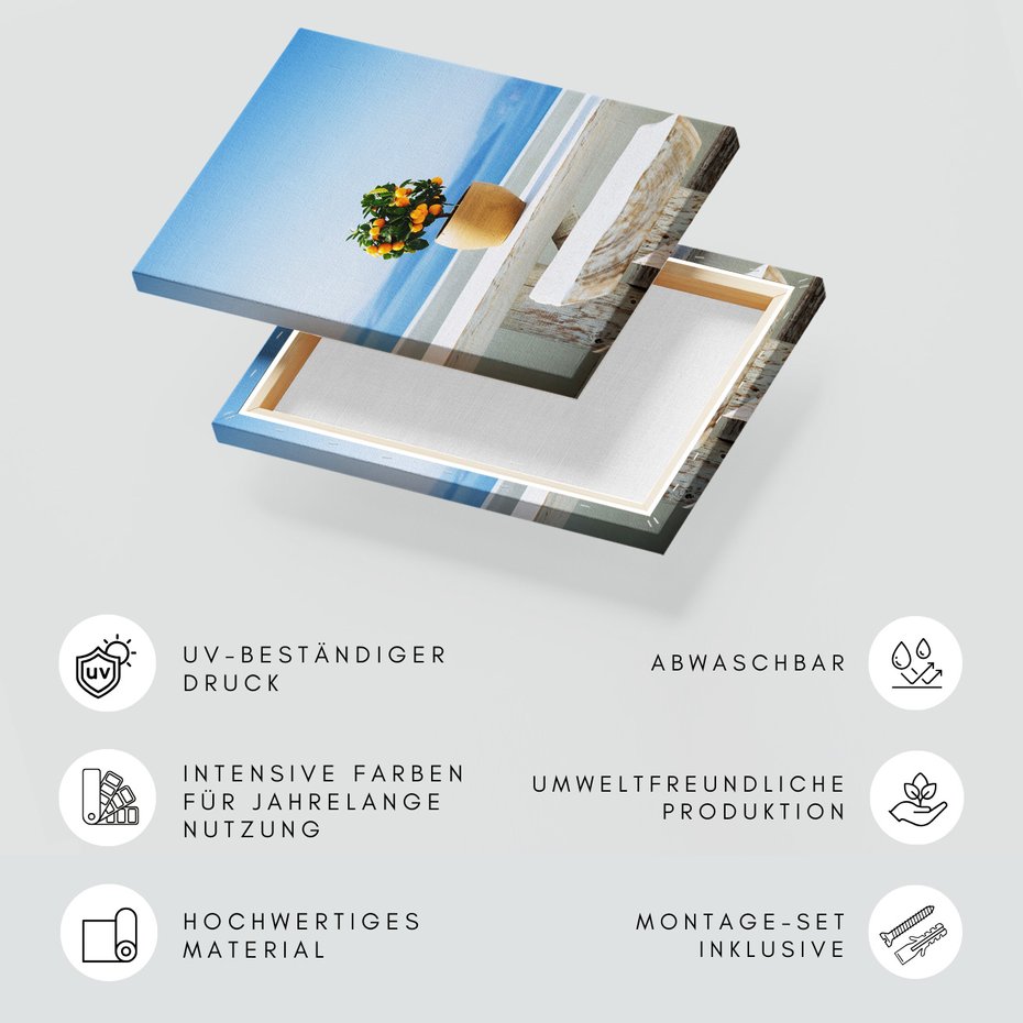 Obraz na płótnie - roślina, morze, niebo