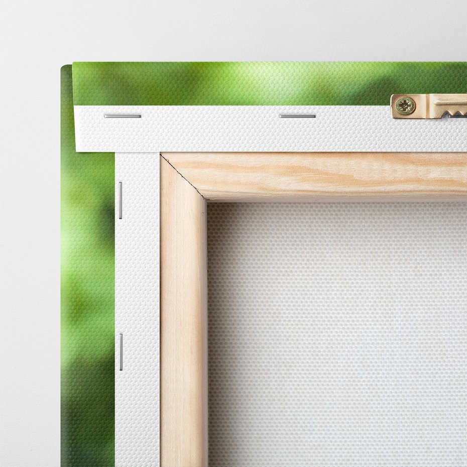 Obraz na płótnie - koń, zwierzę, portret