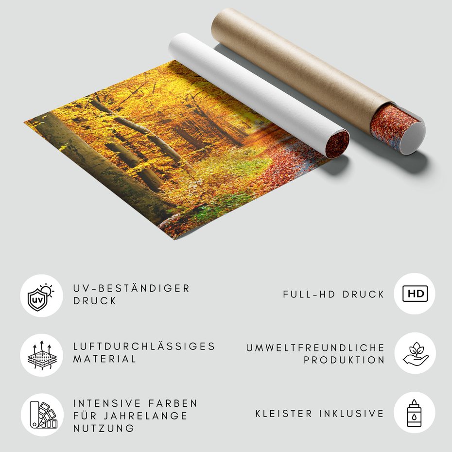 Fototapeta - jesień, las, liście