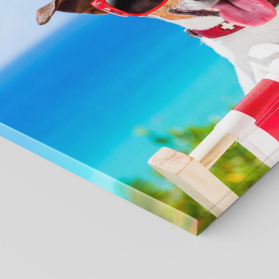 Obraz na płótnie - pies, okulary, plaża