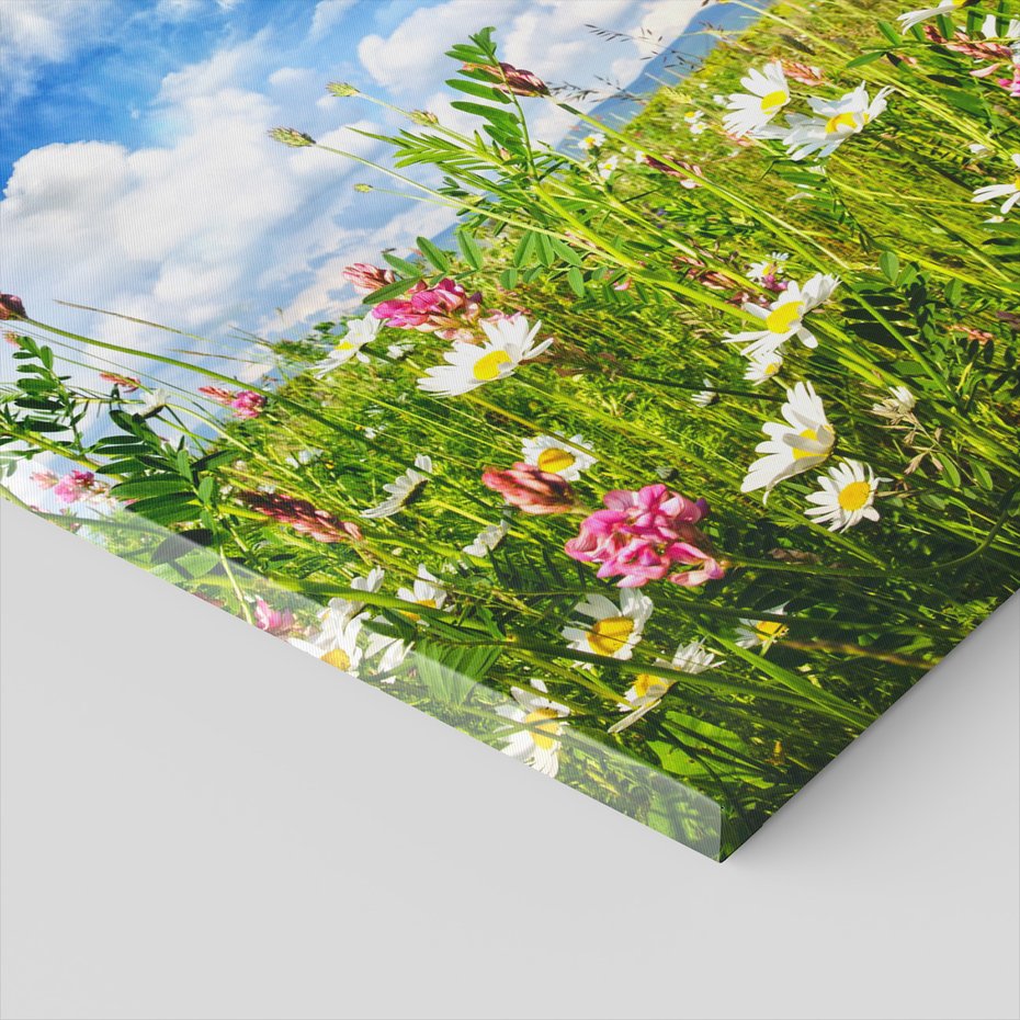 Obraz na płótnie - łąka, kwiaty, niebo