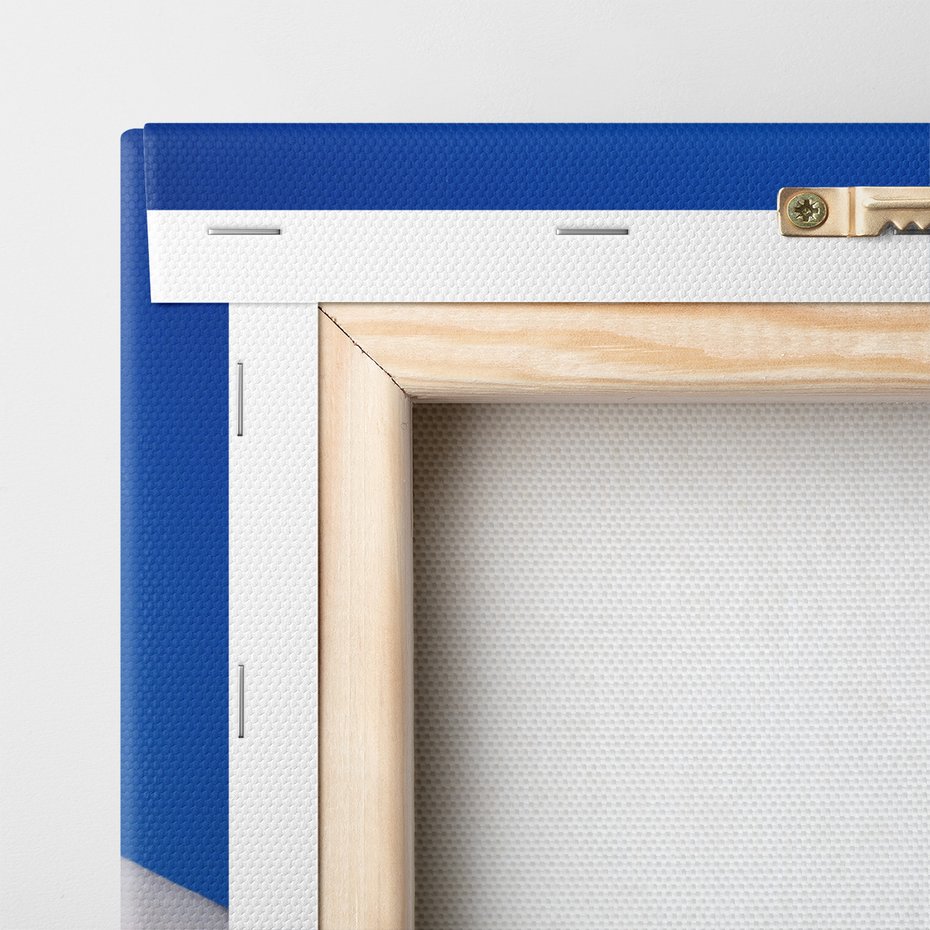 Obraz na płótnie - mewa, ptak, niebo