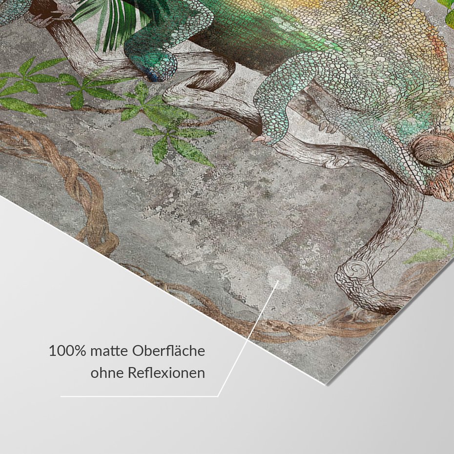 Fototapeta - beton, kameleon, tropikalne