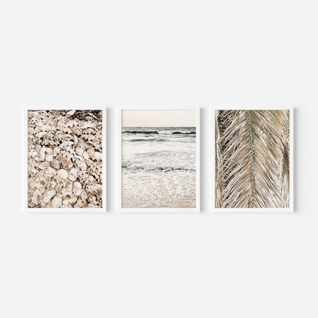 Zestaw obrazy w ramie, plakaty - muszle, morze, liście - rama biała
