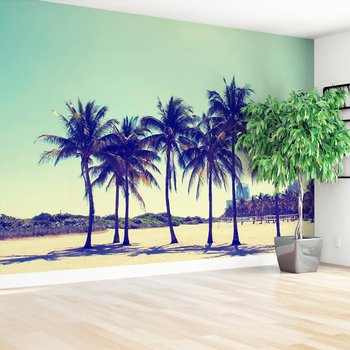 Fototapeta - palmy, plaża, niebo