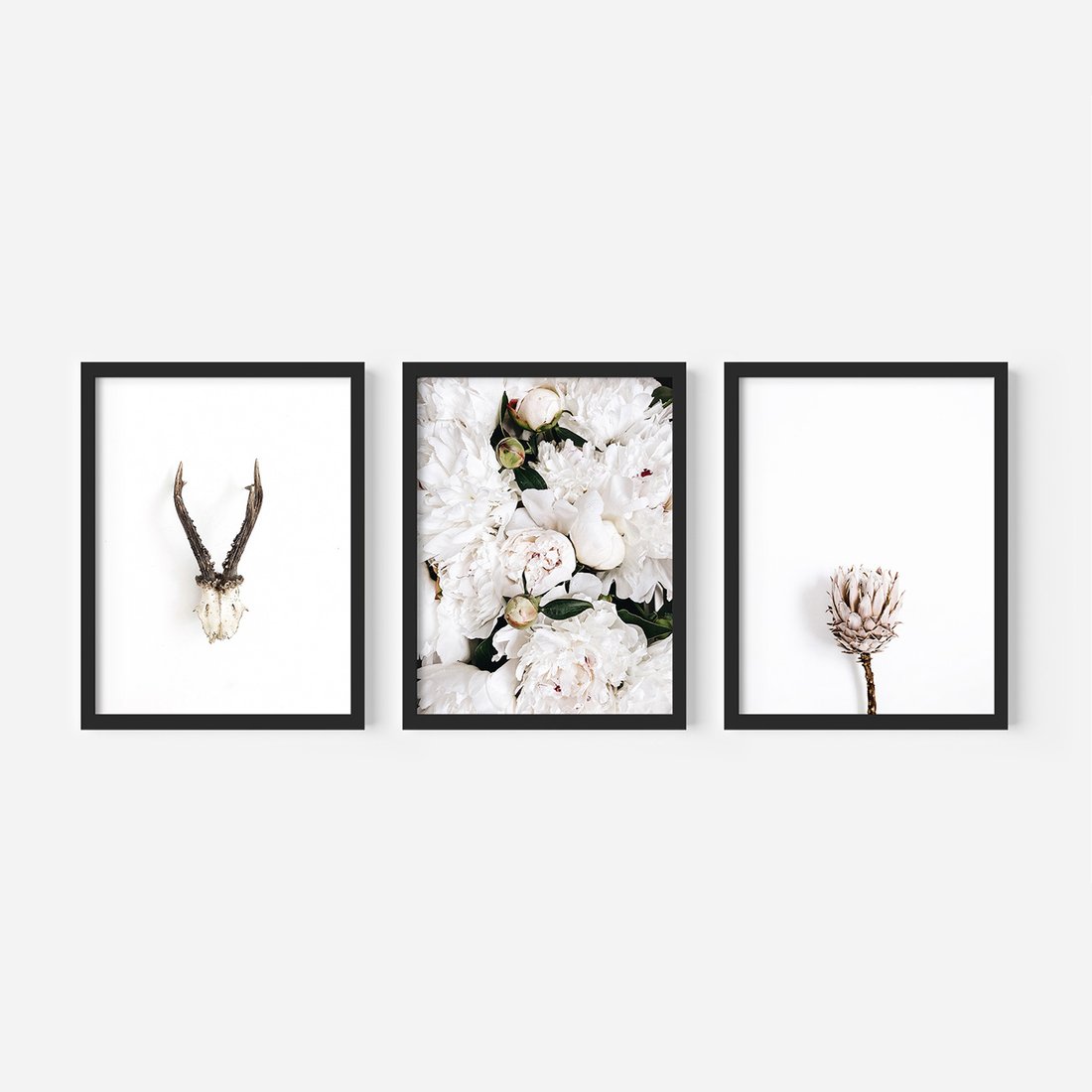 Zestaw obrazy w ramie, plakaty - kwiaty, minimalizm, roślina - rama czarna