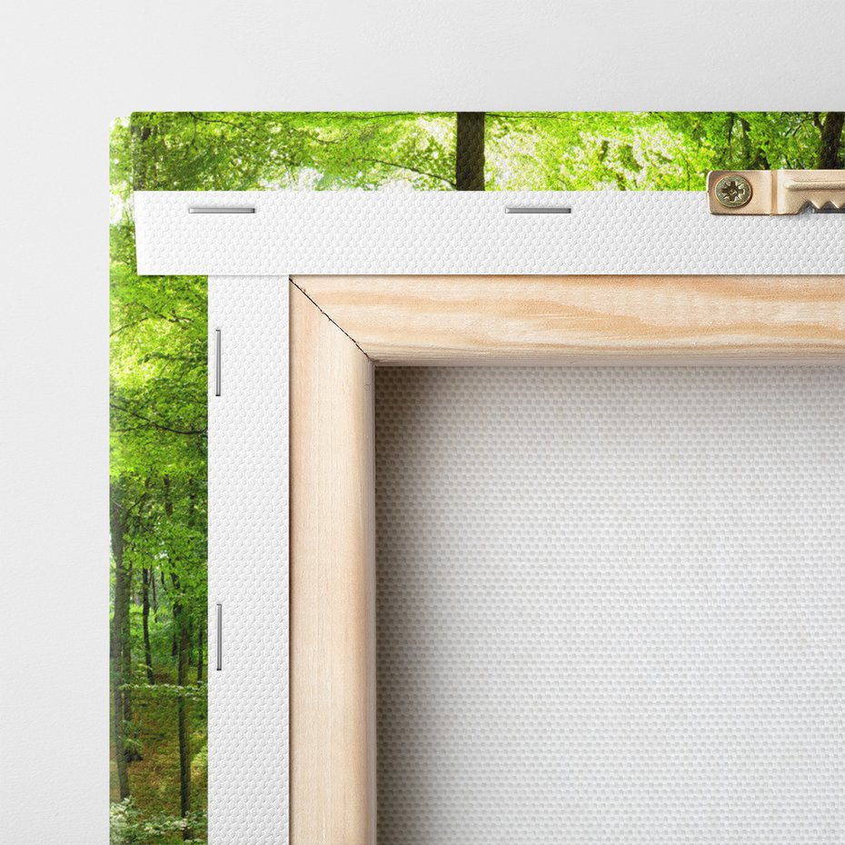 Obraz na płótnie - las, drzewa, natura