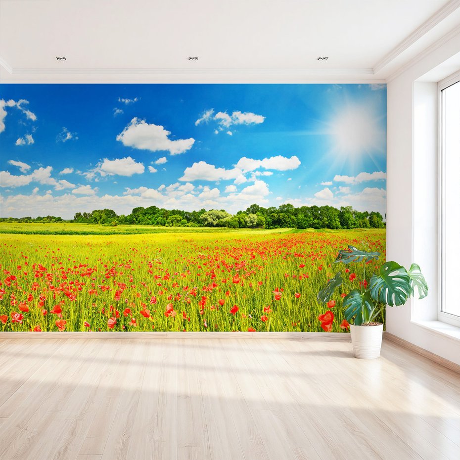 Fototapeta - łąka, kwiaty, niebo