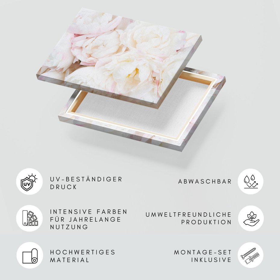 Obraz na płótnie - piwonie, kwiaty, delikatne