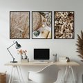 Zestaw obrazy w ramie, plakaty - roślina, beżowy, dekoracja - rama czarna