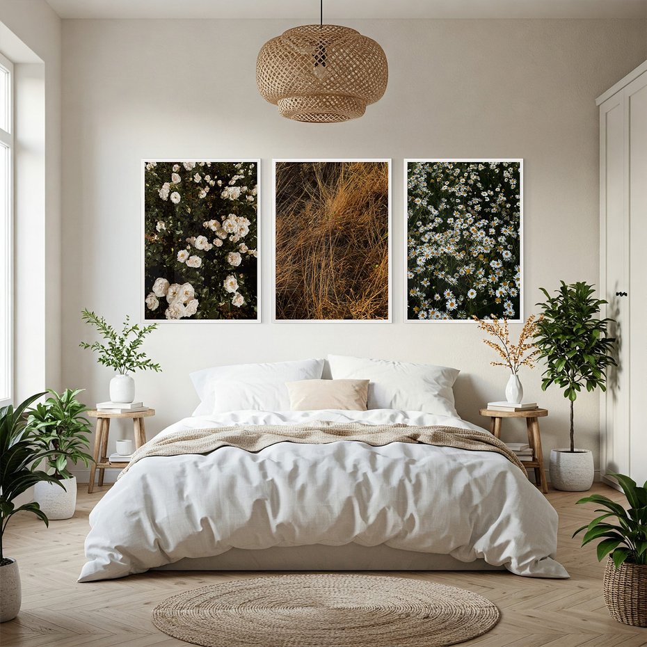 Zestaw obrazy w ramie, plakaty - kwiaty, rośliny, natura - rama biała