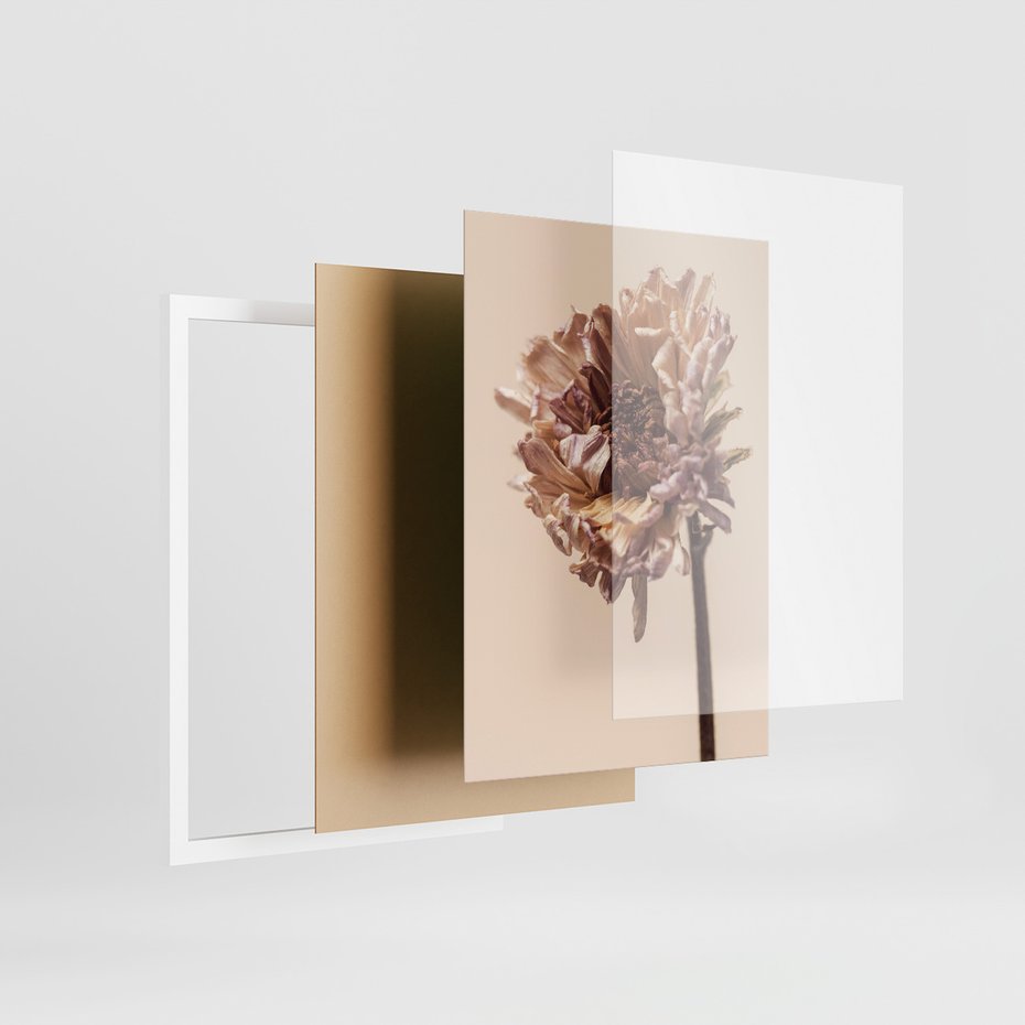 Zestaw obrazy w ramie, plakaty - liść, kwiat, suchy - rama biała
