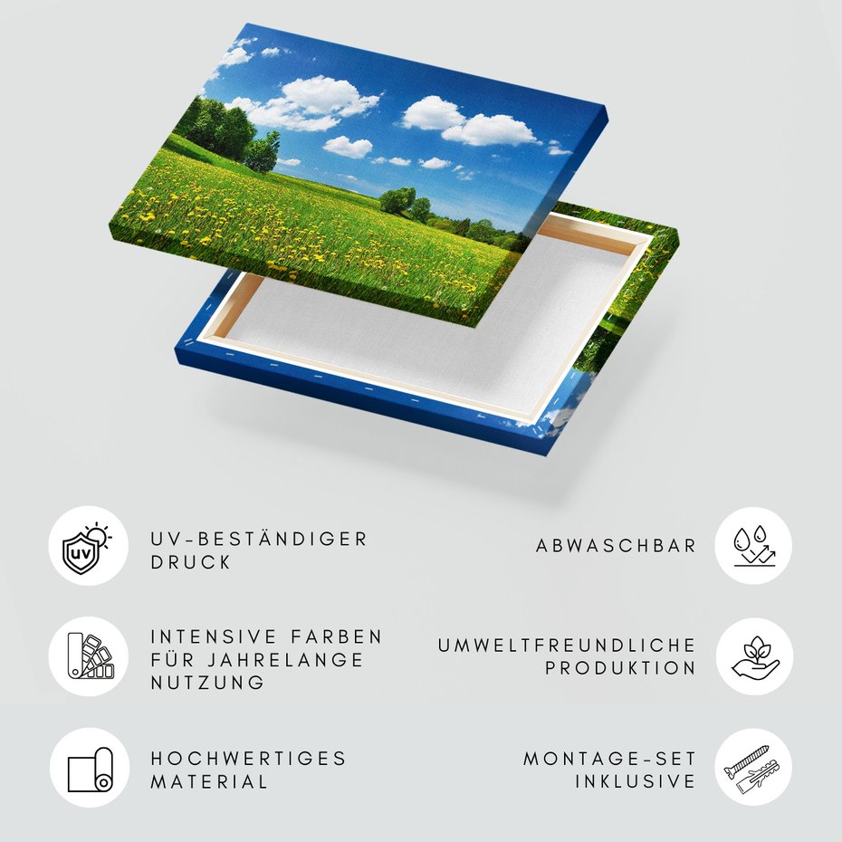 Obraz na płótnie - łąka, kwiaty, lato