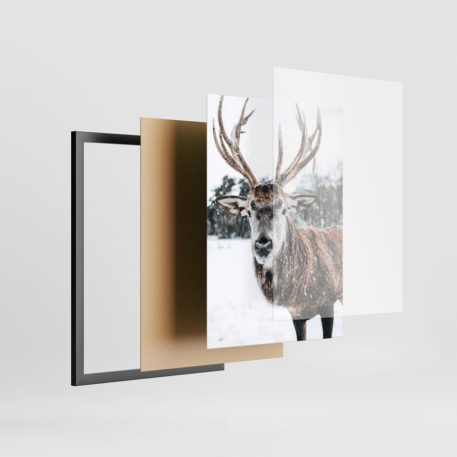 Zestaw obrazy w ramie, plakaty - zwierzęta, zima, śnieg - rama czarna
