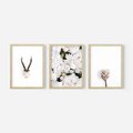 Zestaw obrazy w ramie, plakaty - kwiaty, minimalizm, roślina - rama drewno