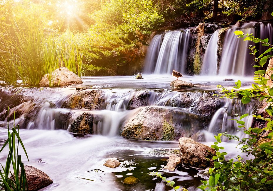 Fototapeta - wodospad, natura, woda